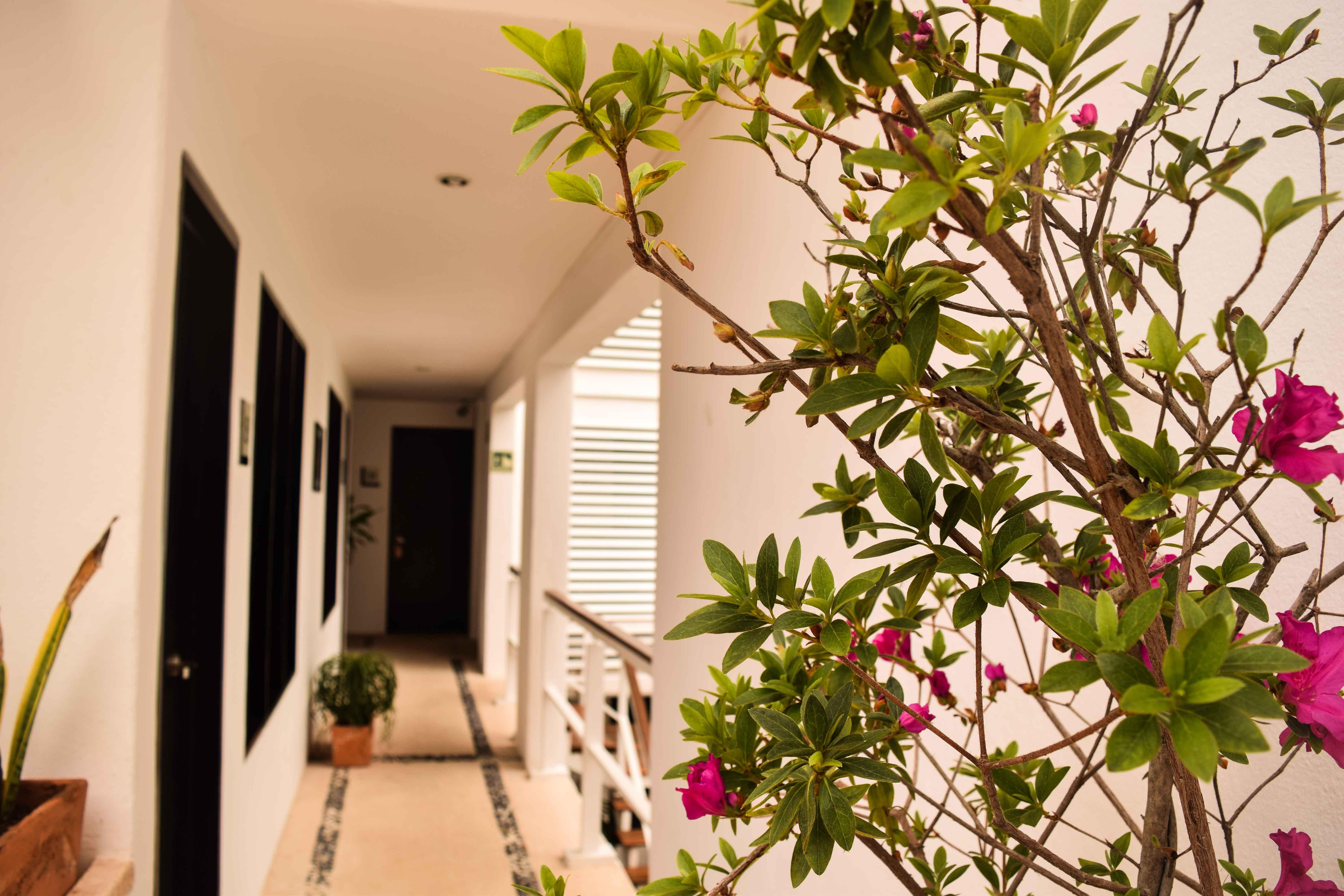 Casa Ticul Hotel Boutique - 5Th Ave (Adults Only) Playa del Carmen Eksteriør billede